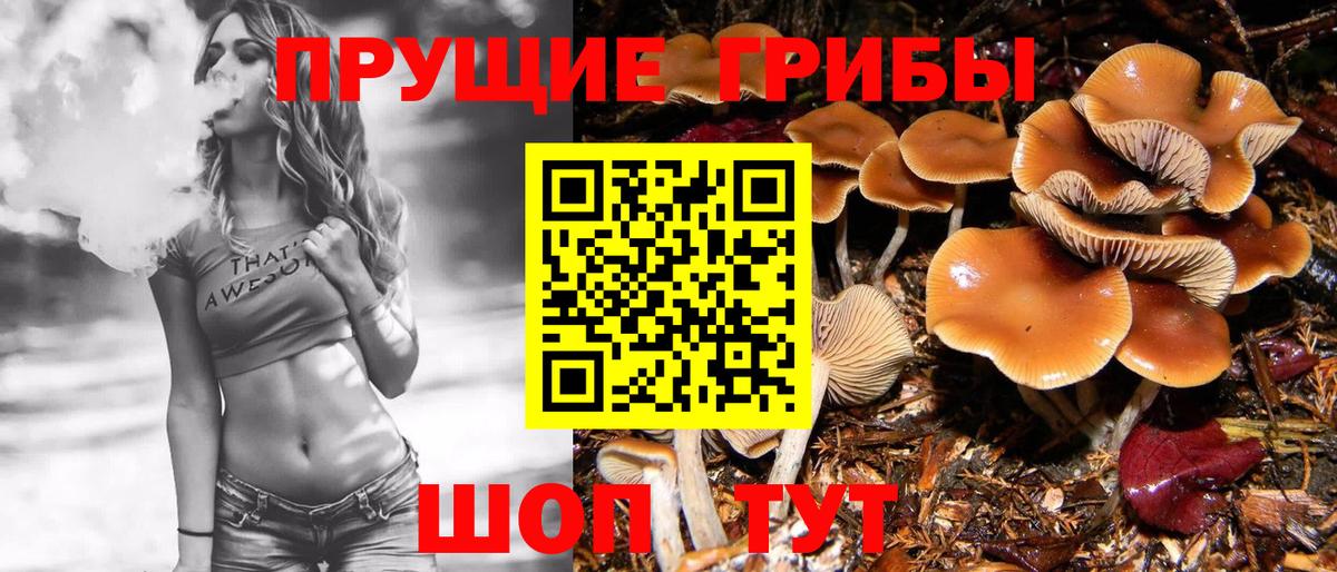  КОКАИН Рославль