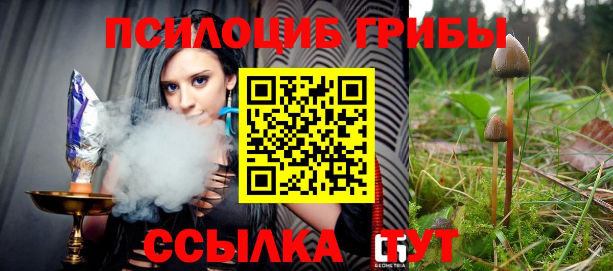 Псилоцибиновые грибы Psilocybe  Псилоцибиновые грибы MAGIC MUSHROOMS  Вход с VPN  закладки  Рославль 