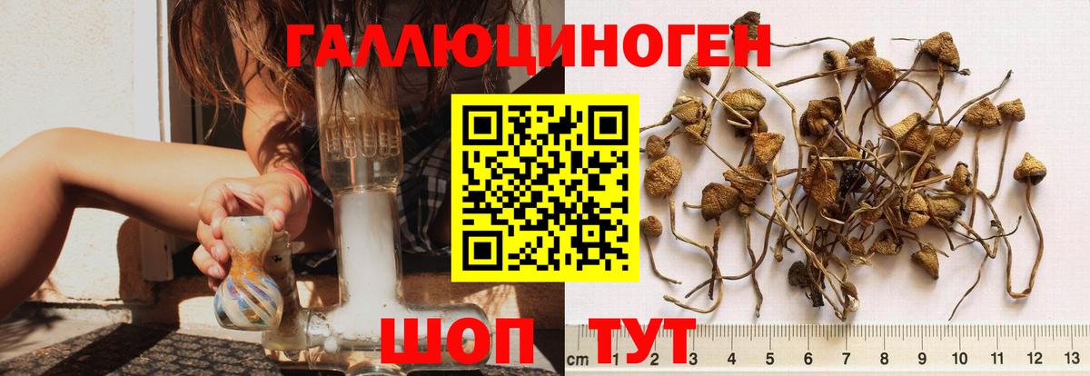Галлюциногенные грибы Magic Shrooms Рославль